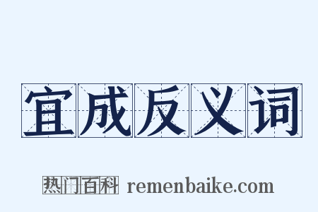 宜成反义词是什么意思的图片